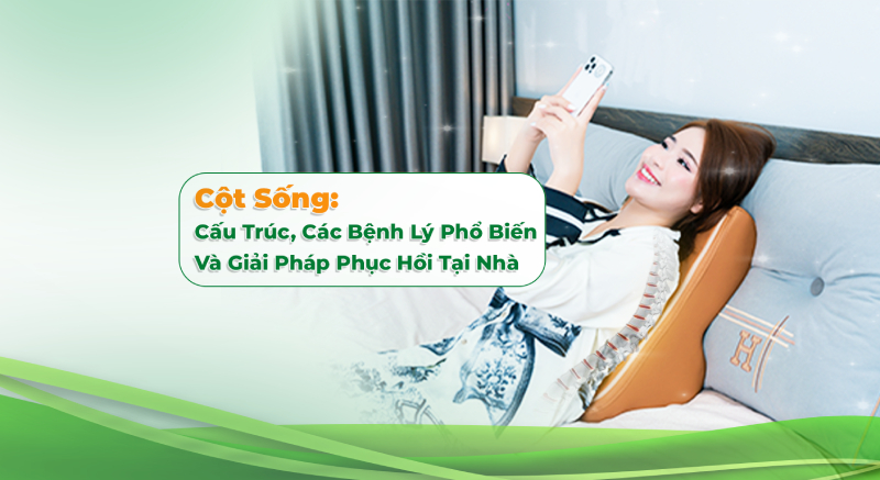 Cột Sống: Cấu Trúc, Các Bệnh Lý Phổ Biến Và Giải Pháp Phục Hồi Tại Nhà