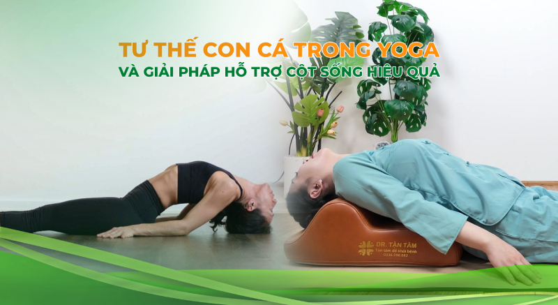 Tư thế con cá trong Yoga và giải pháp hỗ trợ cột sống hiệu quả